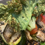 Naturalmente Real Food Comida