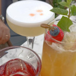 El Jardin De Diana Hyatt Gran Via Boisson