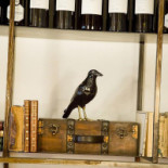 Ástor Gastro-place drink