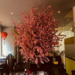 Vietnamita Fusion Mr. Vu inside