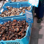 Pescados Julio Laredo Nourriture