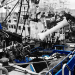 Pescados Julio Laredo Boisson