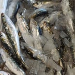 Pescados Julio Laredo Boisson