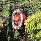 Pub Chicago Laredo outside