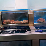 Pescados Julio Laredo Boisson