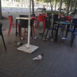 Domino's Pizza Meridiana Extérieur