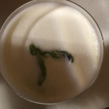 Dr. Stravinsky Bebida