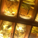 Dr. Stravinsky Dentro