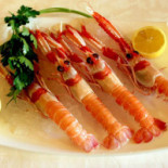 As De Bastos Majadahonda food