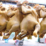 Totale Pizzería drink