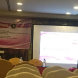 Star Doner Kebab Dentro