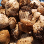 Meson Los Charros Drink