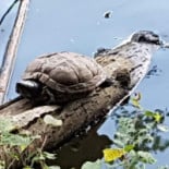 Doner Kebab Montehermoso Extérieur