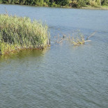Café Man Ray Extérieur