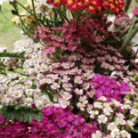 The Green Market Ibiza Extérieur