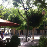 Cocktail Union Ibiza Extérieur