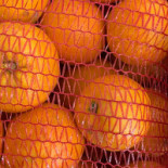 The Green Market Ibiza Nourriture