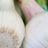 The Green Market Ibiza Boisson