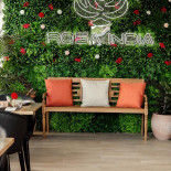 Rosa India Extérieur