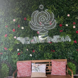 Rosa India Extérieur