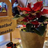 EstaciÓn MarÍtima CafeterÍa Boisson