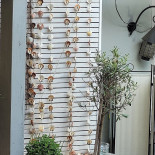 Lapintxoteca Boisson