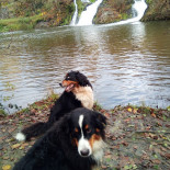 El Rincon Del Mar Extérieur