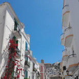 Dancing Banana Extérieur