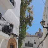 Dancing Banana Extérieur