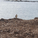 Cafeteria Juanito Extérieur