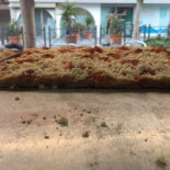 Magica Pizza Extérieur