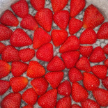 Sala Polivalent Puig D'en Valls Boisson