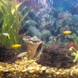 Bar Restaurante Industrial Extérieur