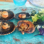 Nōmade Ibiza Boisson