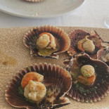 S’espardell Nourriture