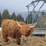 Cafe Cantora Extérieur