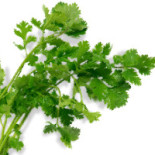 Pura Vida Plaza Del Parque Extérieur