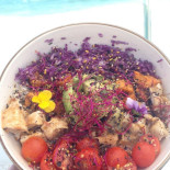 Dorado Ibiza Nourriture