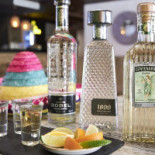 Taquería Tacosanto Boisson