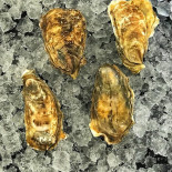 Oyster Ibiza Nourriture