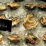 Oyster Ibiza Boisson