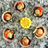 Oyster Ibiza Boisson