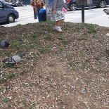 Café Marañón Extérieur