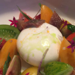 Sutil Carbon Nourriture