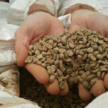 Cafés Ibiza Tostadero Y Tienda Boisson