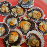 Casa Candela Nourriture