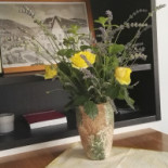 Ruta De La Plata. Casa De Extremadura En Asturias Boisson