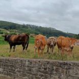 La Solana Extérieur