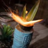 Vanilla Beach Ibiza Boisson