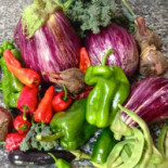 Celler Sa Cova Comida